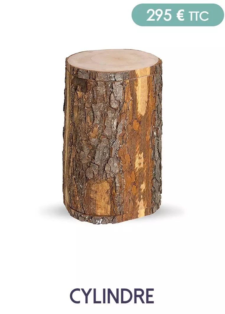 /medias/u/277/urne%20cylindre%20arbre.JPG